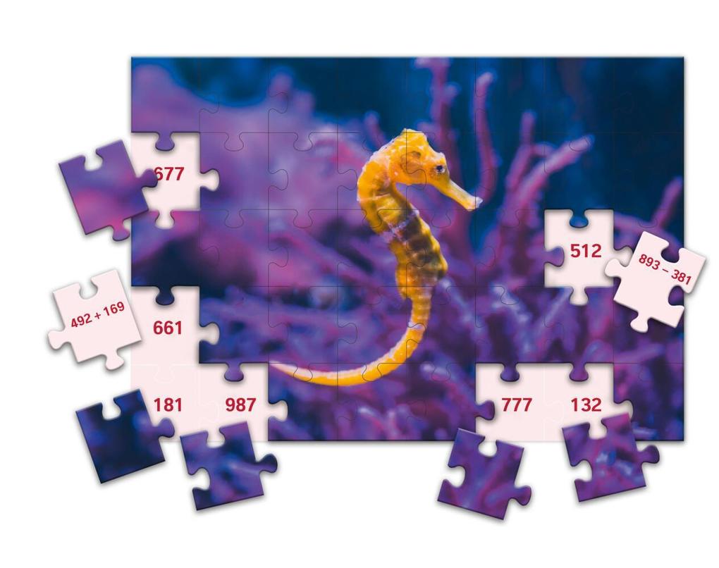 Weitere Ansicht: SCHUBI MathPuzzles