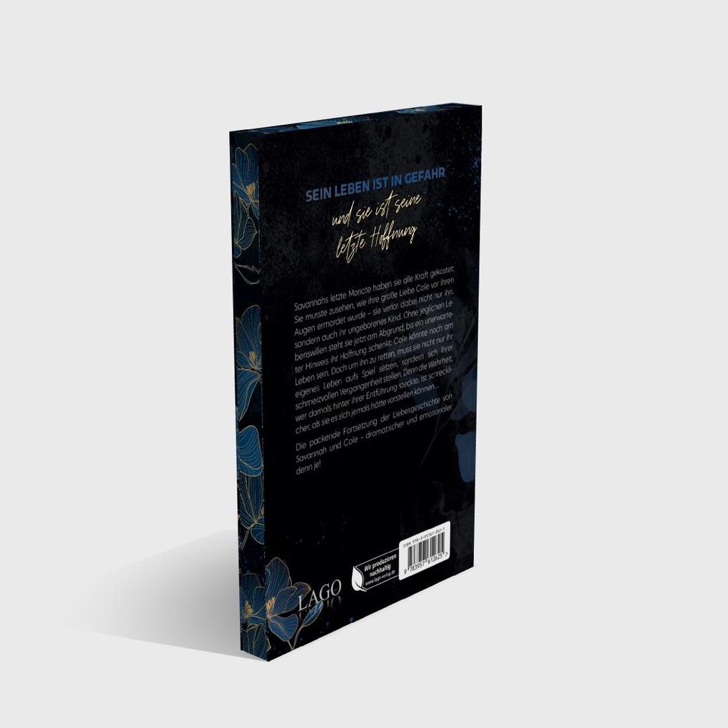 Weitere Ansicht: Shattered Love | J. L. Drake