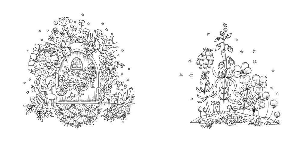 Weitere Ansicht: Wundervolle Wildblumen | Johanna Basford, @Johannabasford