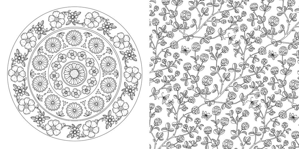 Weitere Ansicht: Wundervolle Wildblumen | Johanna Basford, @Johannabasford