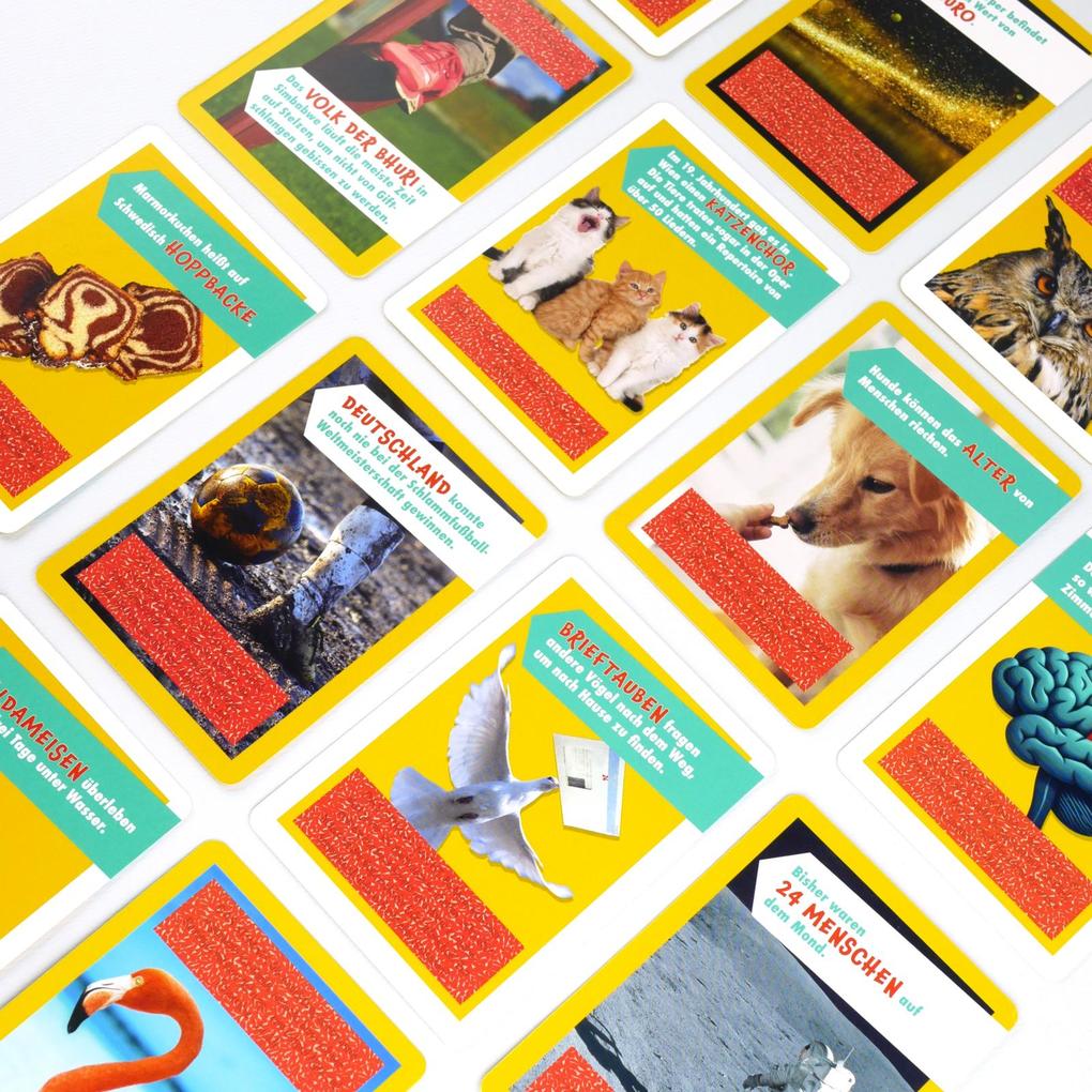 Weitere Ansicht: Stimmts oder stimmts nicht? - Das einzigartige Wissensquiz für Kinder ab 8 Jahren | Daniel Wiechmann