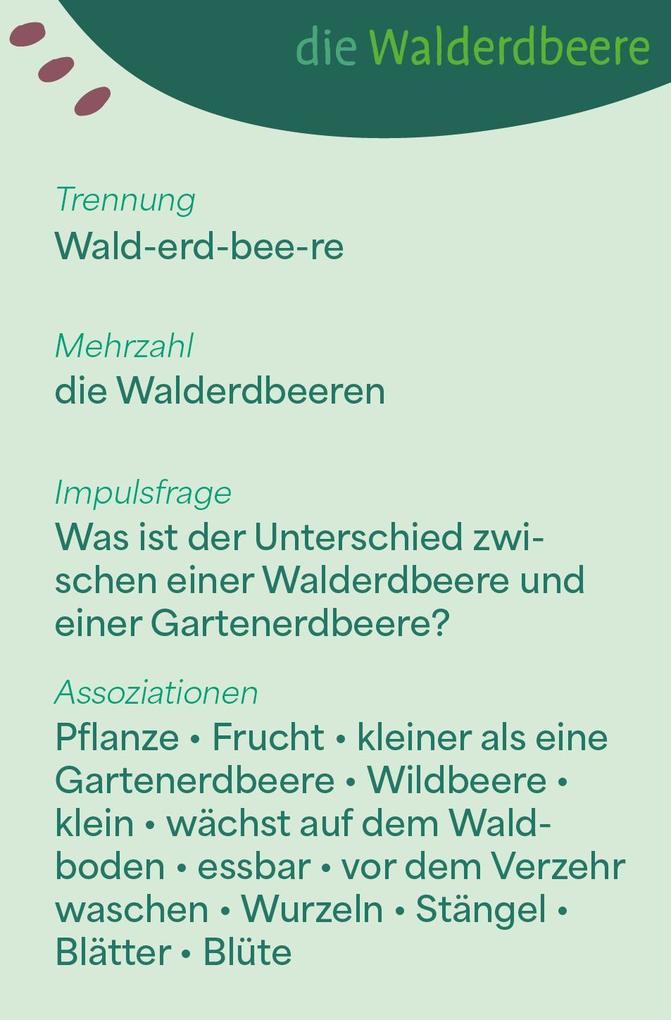 Weitere Ansicht: Wortschatzkärtchen: Im Wald | Esther Zulauf