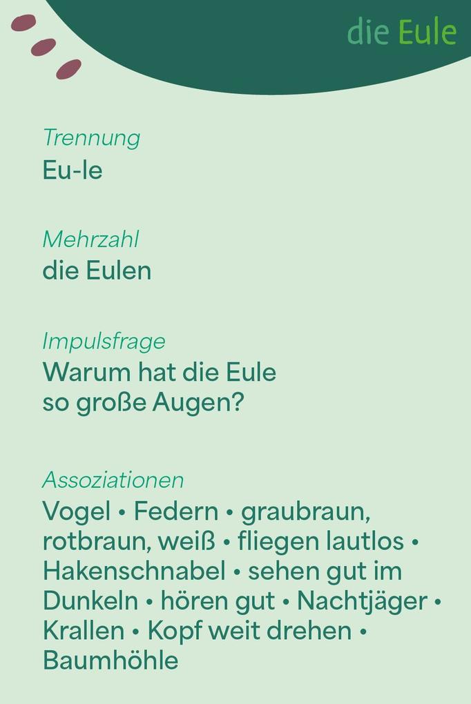 Weitere Ansicht: Wortschatzkärtchen: Im Wald | Esther Zulauf