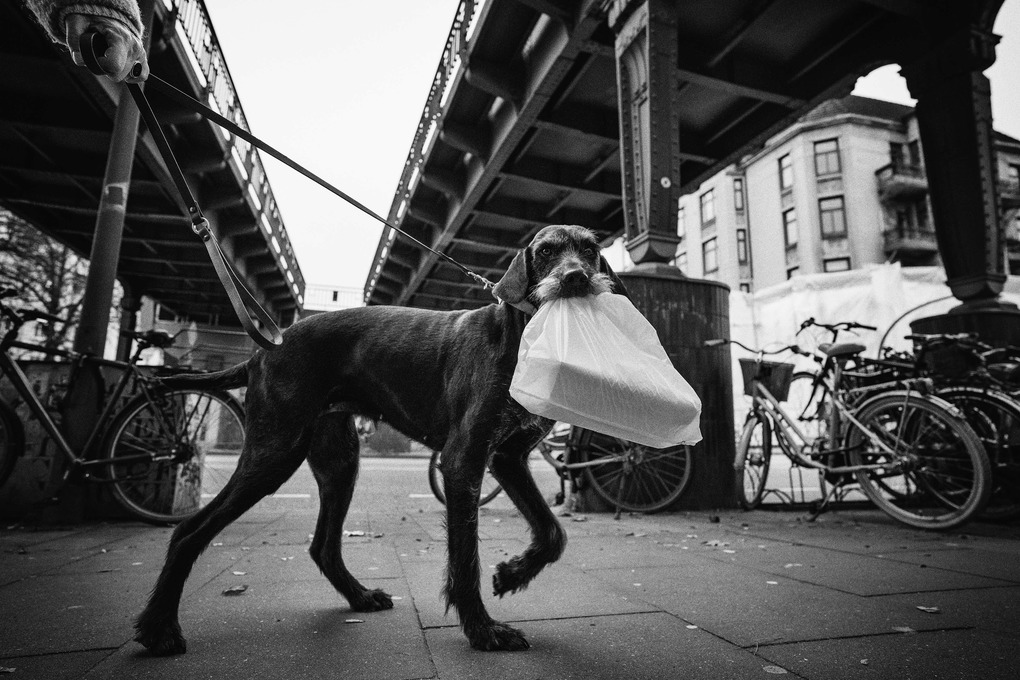 Weitere Ansicht: Hamburg | Dimitri Ladischensky