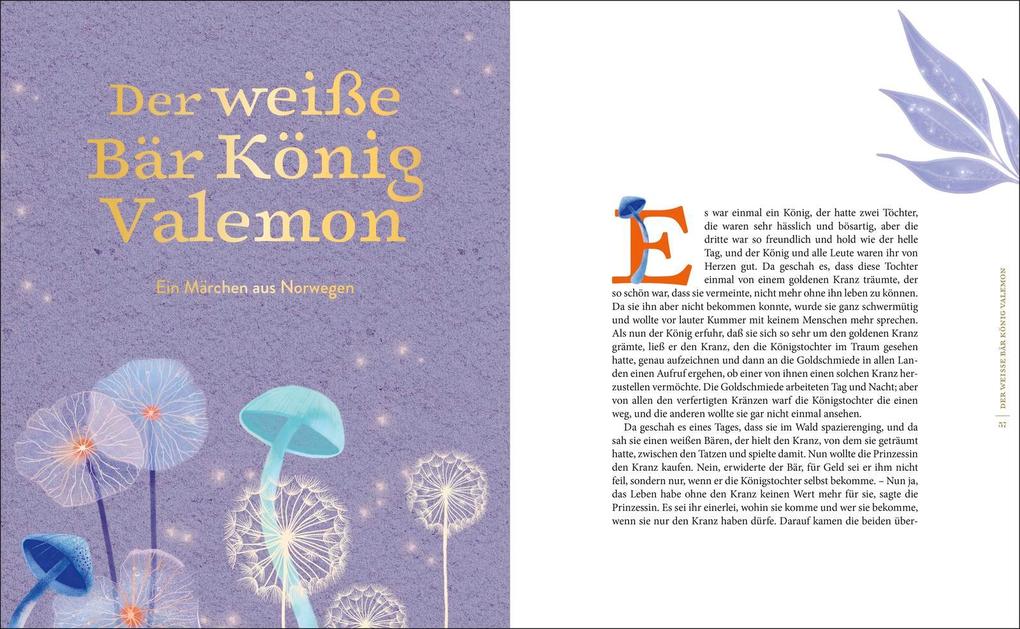 Weitere Ansicht: Magie des Waldes