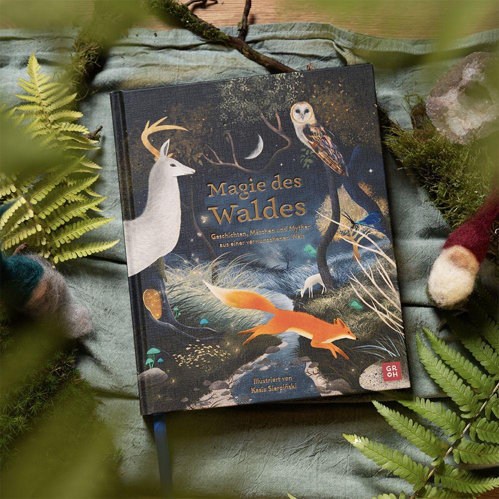 Weitere Ansicht: Magie des Waldes