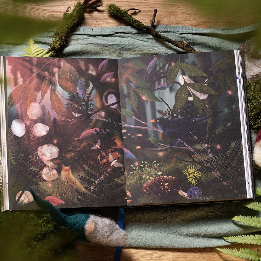 Weitere Ansicht: Magie des Waldes