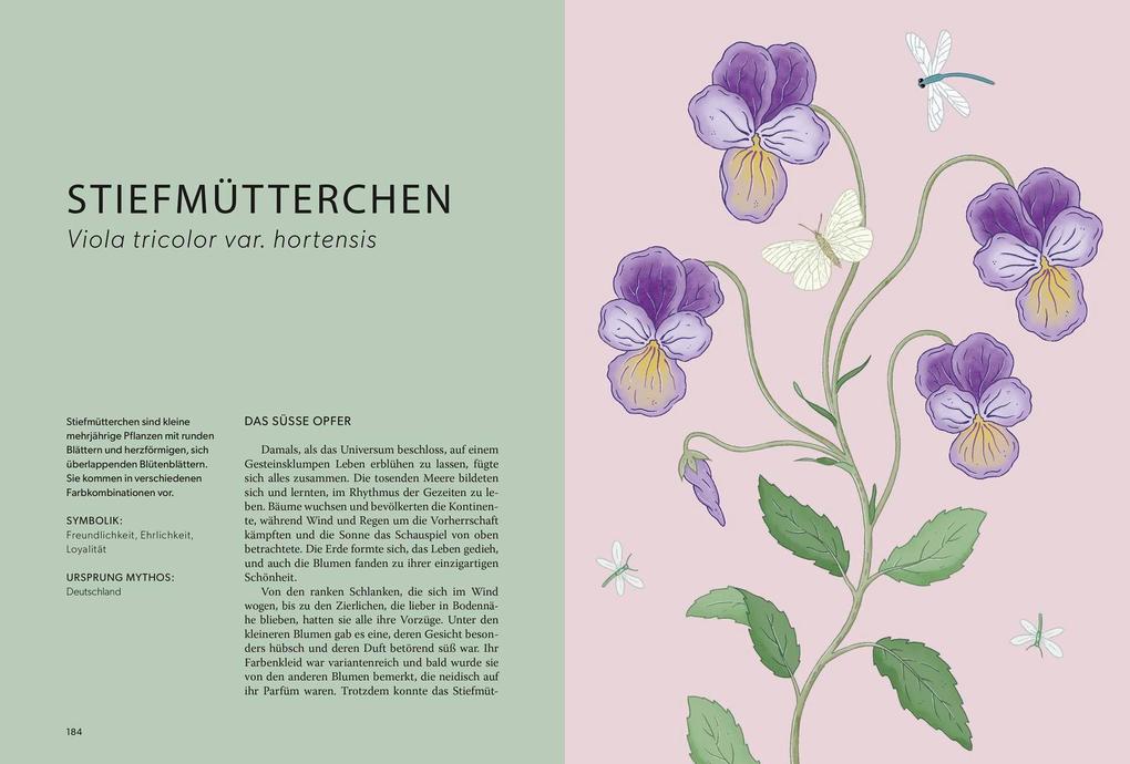 Weitere Ansicht: Die Welt der Blumen | Alison Davies