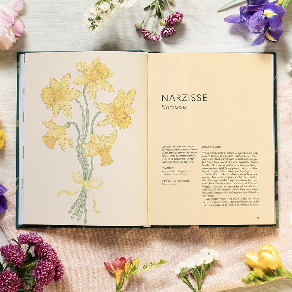 Weitere Ansicht: Die Welt der Blumen | Alison Davies