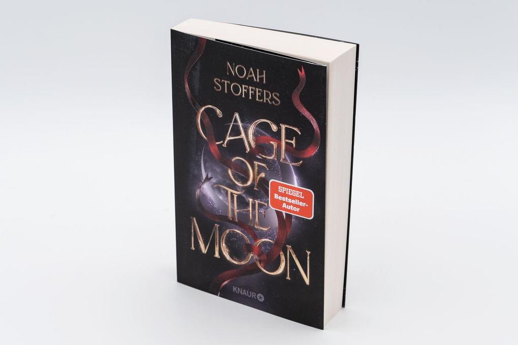 Weitere Ansicht: Cage of the Moon | Noah Stoffers
