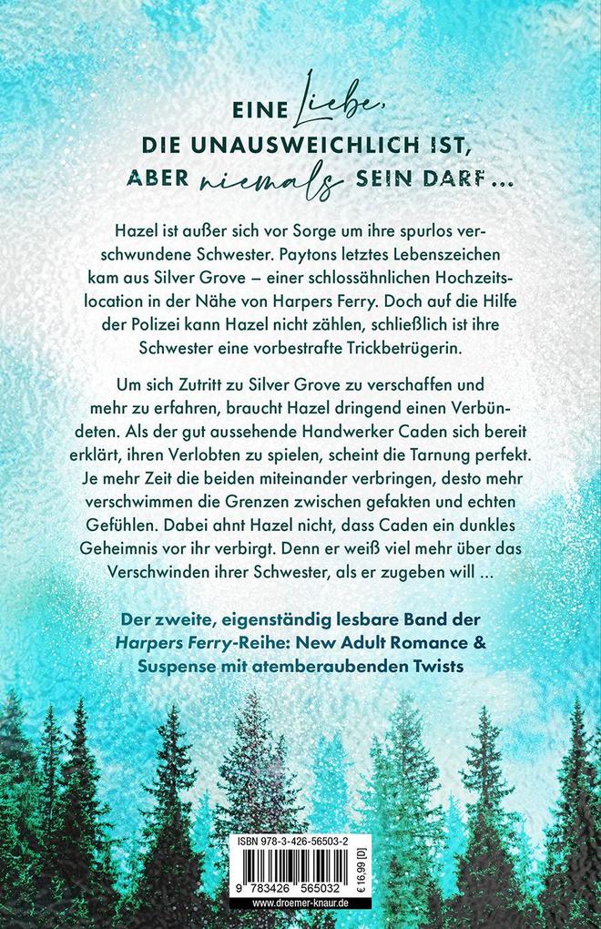 Weitere Ansicht: Silver Grove. Break Me Twice | Christina Kaspar
