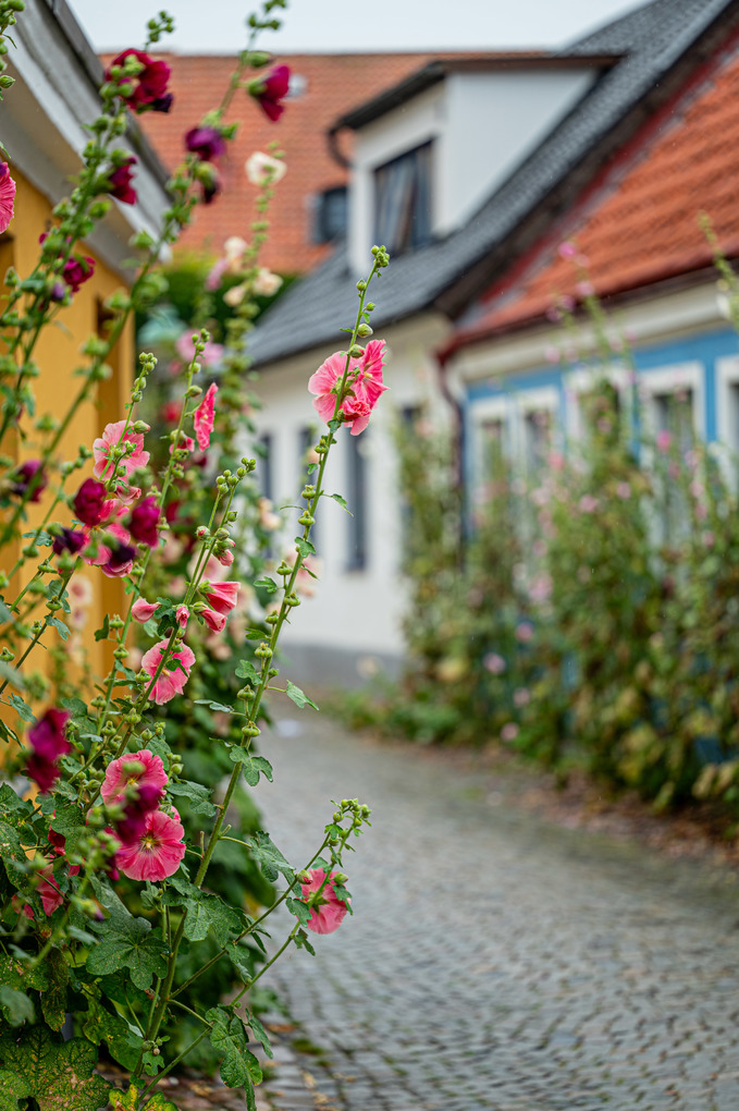 Weitere Ansicht: Skåne | Gabriele Gugetzer