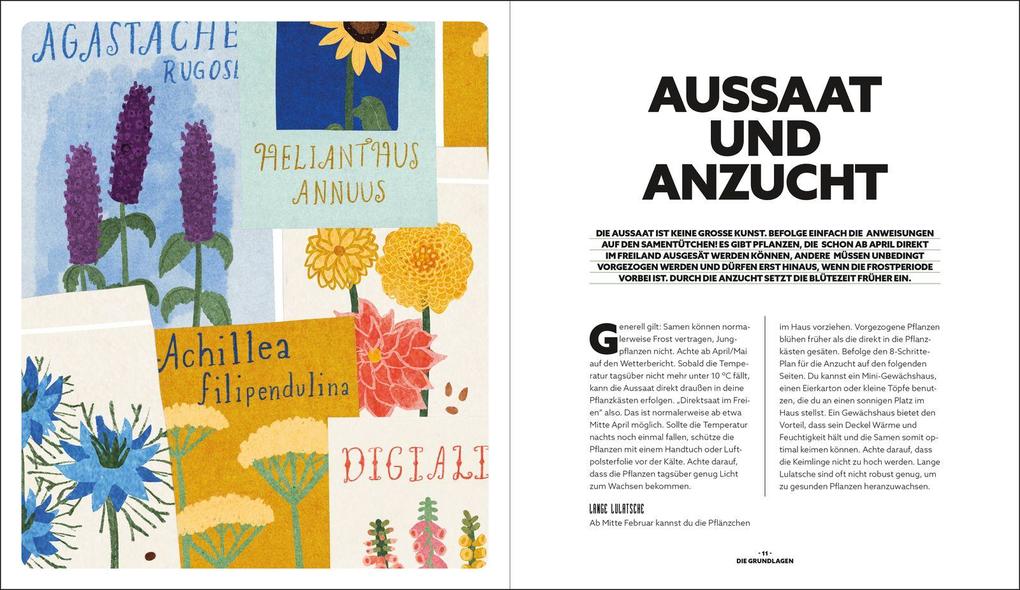 Weitere Ansicht: Blumenzauber - Mein blühendes Paradies auf Balkon und Terrasse | Jennita Jansen
