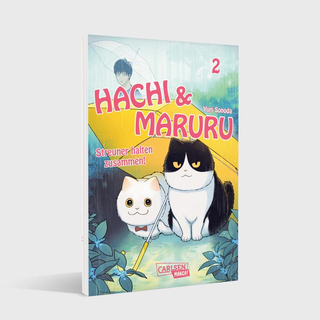 Weitere Ansicht: Hachi & Maruru - Streuner halten zusammen! 2 | Yuri Sonoda