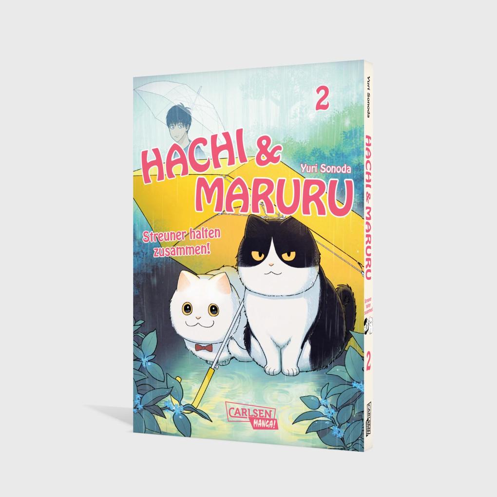 Weitere Ansicht: Hachi & Maruru - Streuner halten zusammen! 2 | Yuri Sonoda