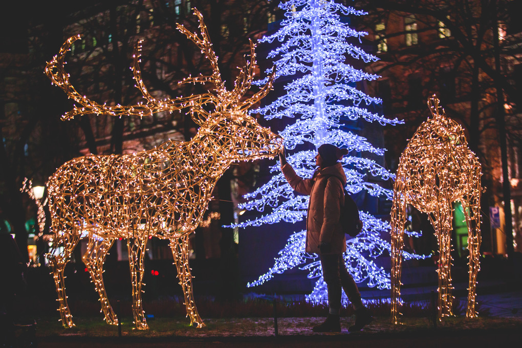 Weitere Ansicht: Einfach Weihnachten Europa!