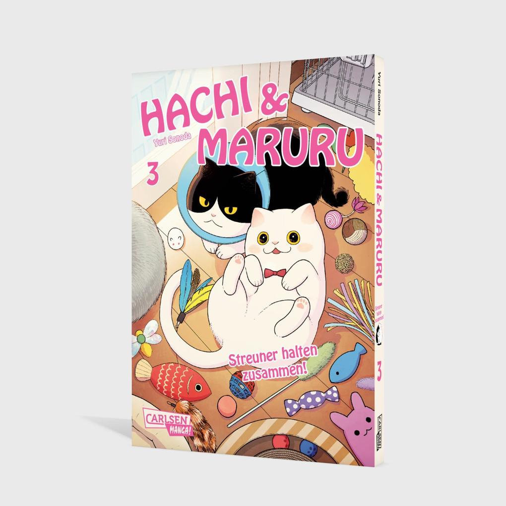 Weitere Ansicht: Hachi & Maruru - Streuner halten zusammen! 3 | Yuri Sonoda