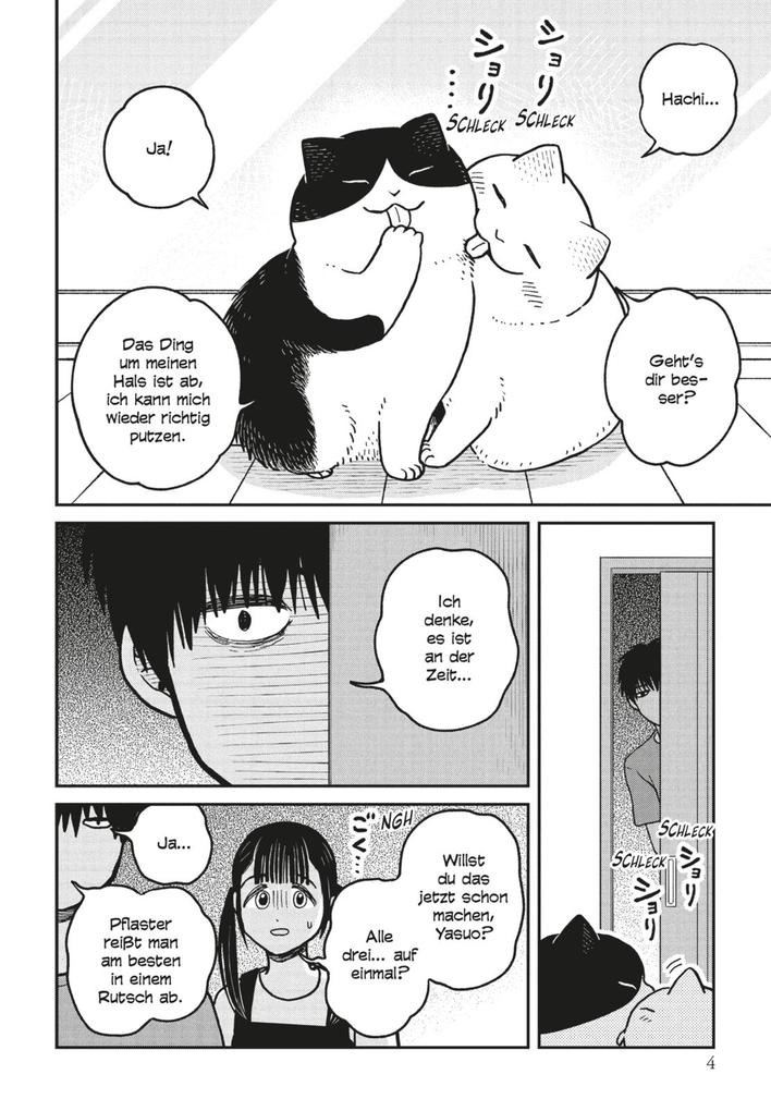 Weitere Ansicht: Hachi & Maruru - Streuner halten zusammen! 3 | Yuri Sonoda