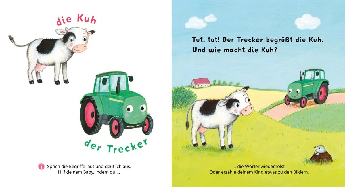 Weitere Ansicht: Baby Pixi (unkaputtbar) 162: Allererste Wörter: Meine Welt | Enni Bollin