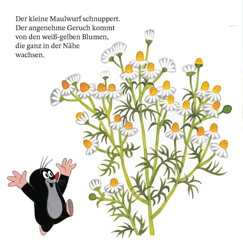 Weitere Ansicht: Maxi Pixi 468: Ein Tag mit dem kleinen Maulwurf | Zdenk Miler, Hanna Sörensen, Zdenek Miler