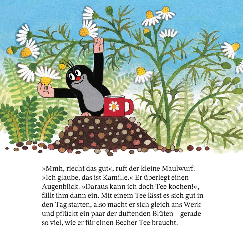 Weitere Ansicht: Maxi Pixi 468: Ein Tag mit dem kleinen Maulwurf | Zdenk Miler, Hanna Sörensen, Zdenek Miler