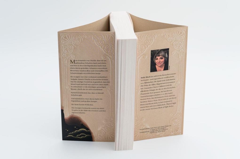 Weitere Ansicht: Thief of Night | Holly Black