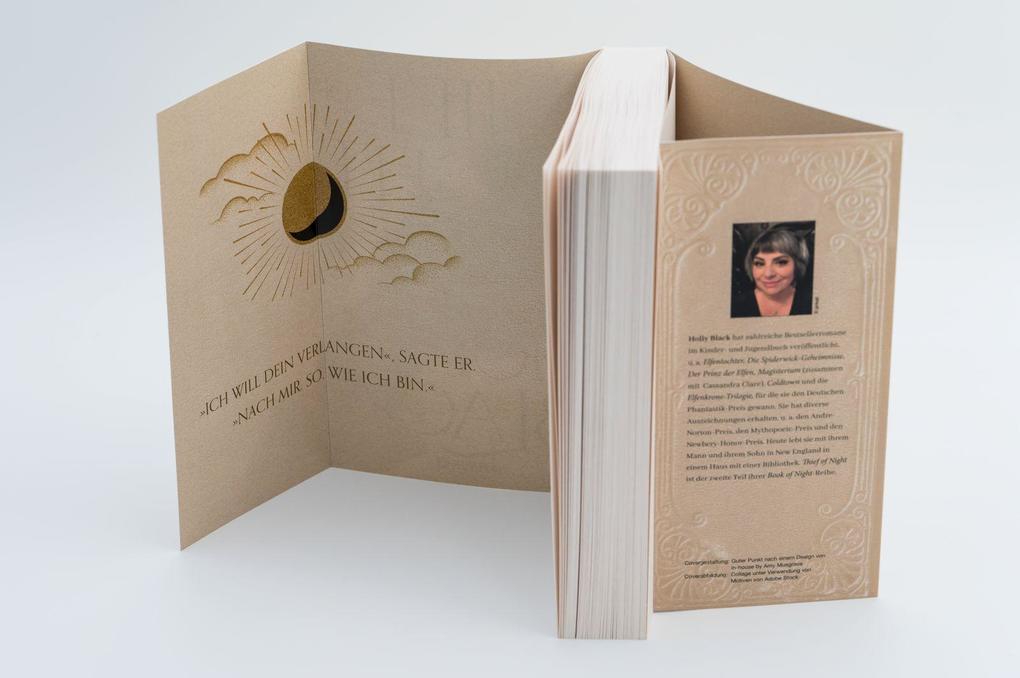 Weitere Ansicht: Thief of Night | Holly Black