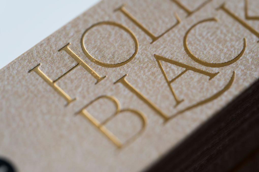 Weitere Ansicht: Thief of Night | Holly Black