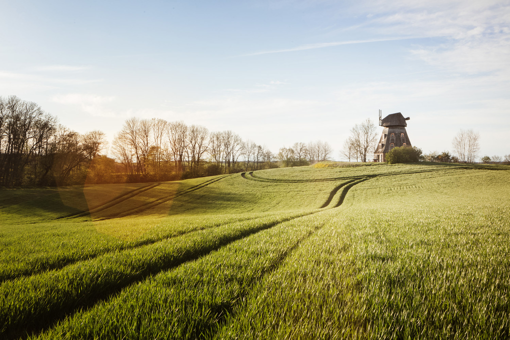 Weitere Ansicht: Good Places for Good People Deutschland | Franziska Diallo, Judith Hehl