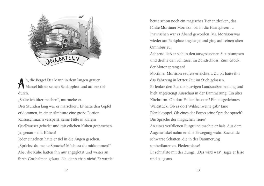 Weitere Ansicht: Die Schule der magischen Tiere Neuausgabe 3: Licht aus! | Margit Auer