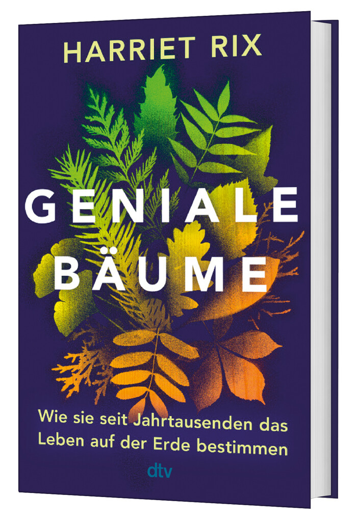 Weitere Ansicht: Geniale Bäume | Harriet Rix