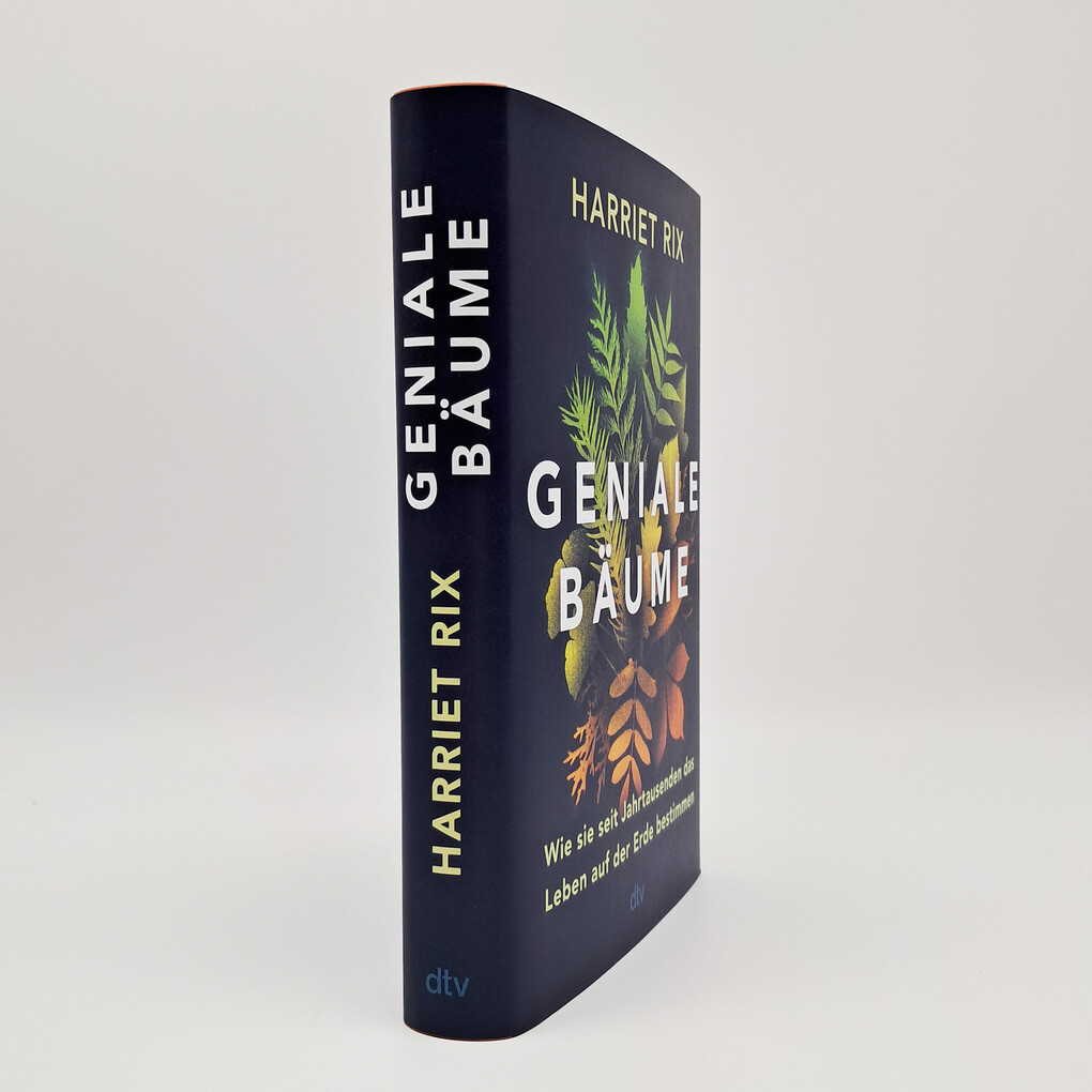 Weitere Ansicht: Geniale Bäume | Harriet Rix
