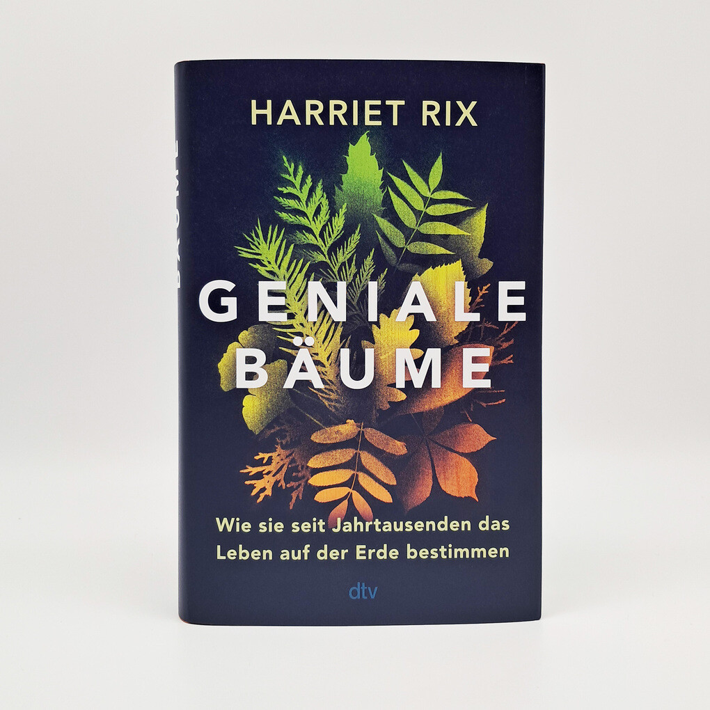 Weitere Ansicht: Geniale Bäume | Harriet Rix