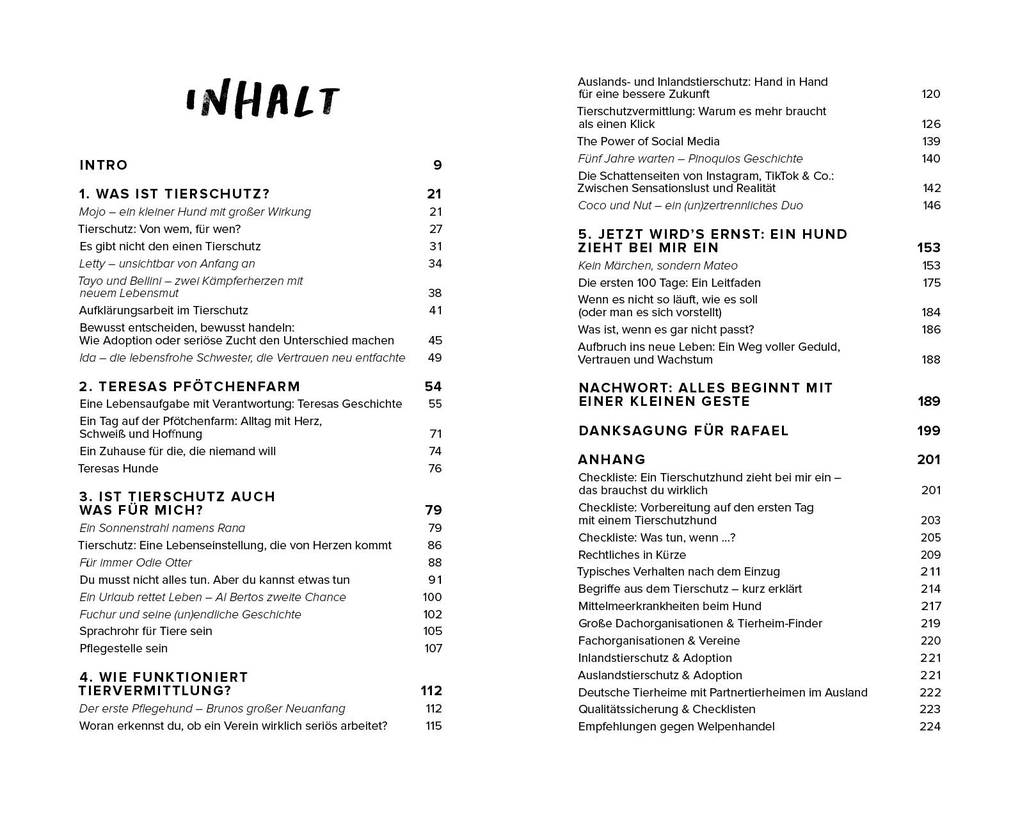 Weitere Ansicht: Streuner - von der Straße direkt ins Herz | Vanessa Magalhaes