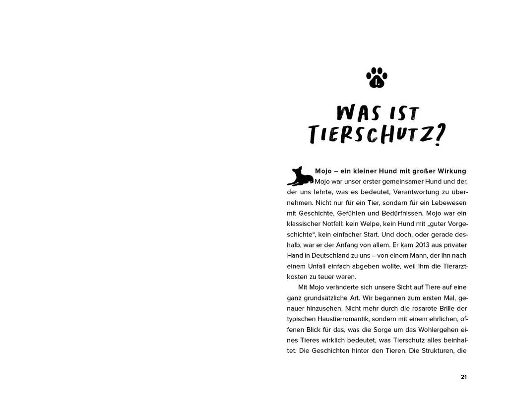 Weitere Ansicht: Streuner - von der Straße direkt ins Herz | Vanessa Magalhaes