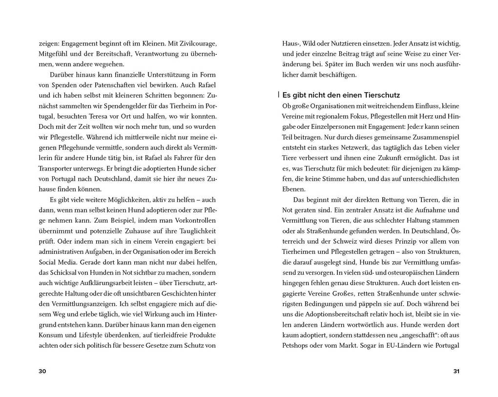 Weitere Ansicht: Streuner - von der Straße direkt ins Herz | Vanessa Magalhaes