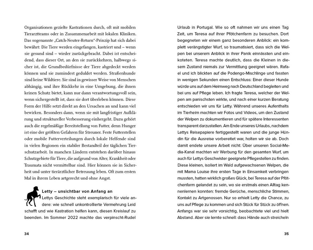 Weitere Ansicht: Streuner - von der Straße direkt ins Herz | Vanessa Magalhaes