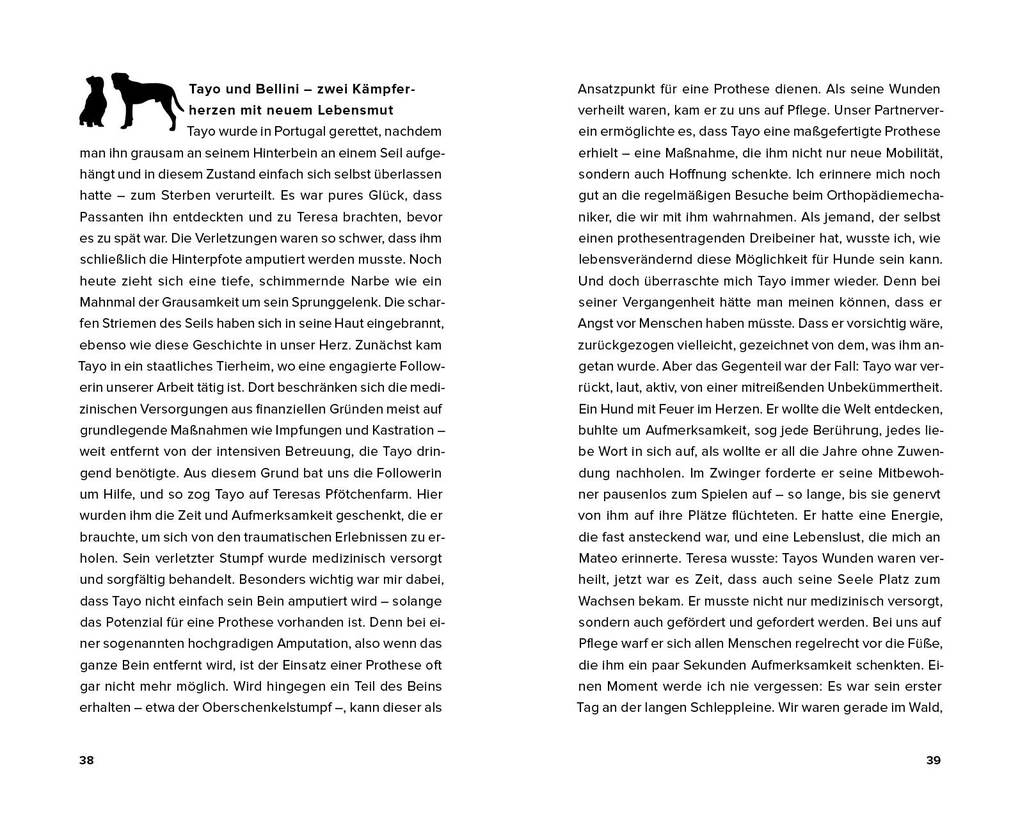 Weitere Ansicht: Streuner - von der Straße direkt ins Herz | Vanessa Magalhaes