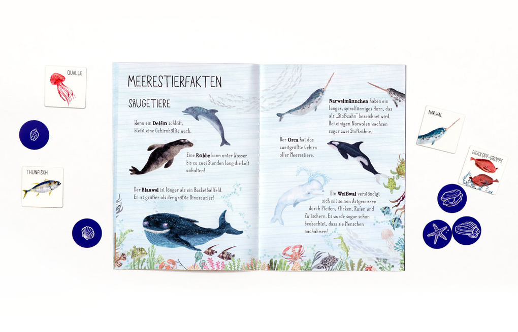 Weitere Ansicht: Flossen hoch! | Yuval Zommer