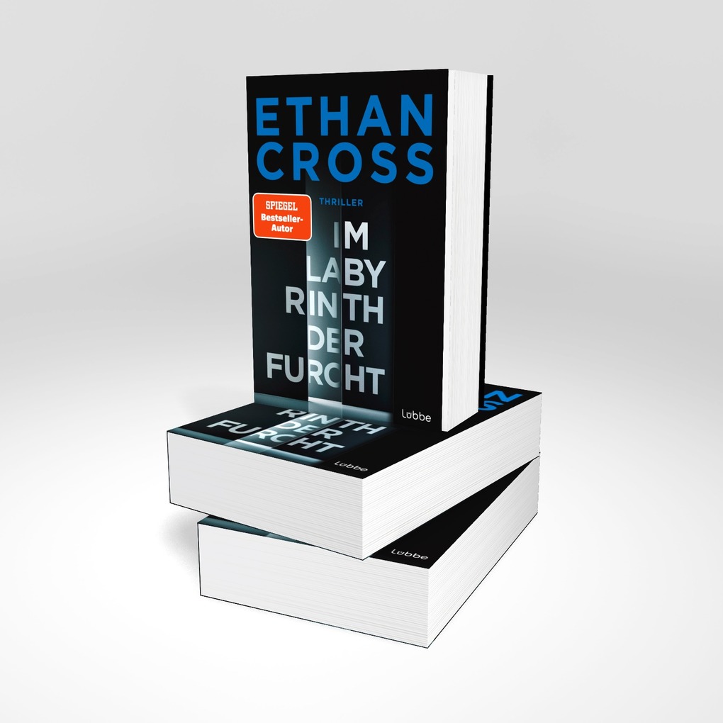 Weitere Ansicht: Im Labyrinth der Furcht | Ethan Cross