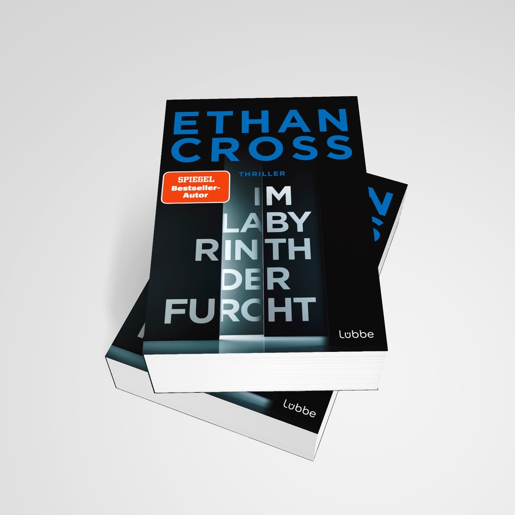 Weitere Ansicht: Im Labyrinth der Furcht | Ethan Cross