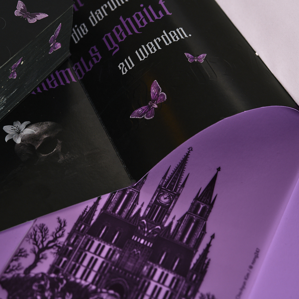 Weitere Ansicht: Nocticadia | Keri Lake