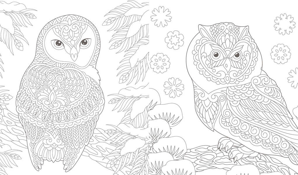 Weitere Ansicht: Ausmalreise Winterliche Vogelwelt