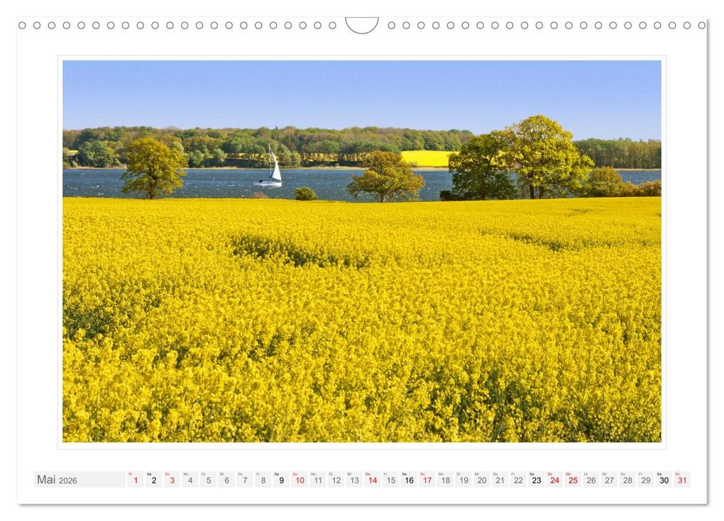 Weitere Ansicht: Rund um die Schlei (Wandkalender 2026 DIN A3 quer), CALVENDO Monatskalender | Klaus Kolfenbach, Calvendo