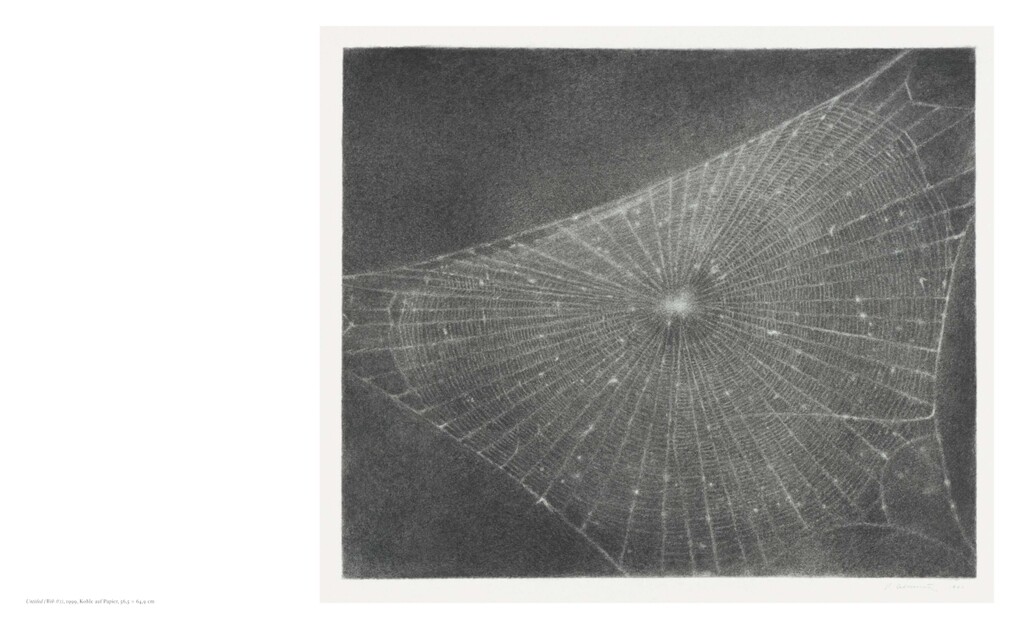 Weitere Ansicht: Vija Celmins | Teo Schifferli
