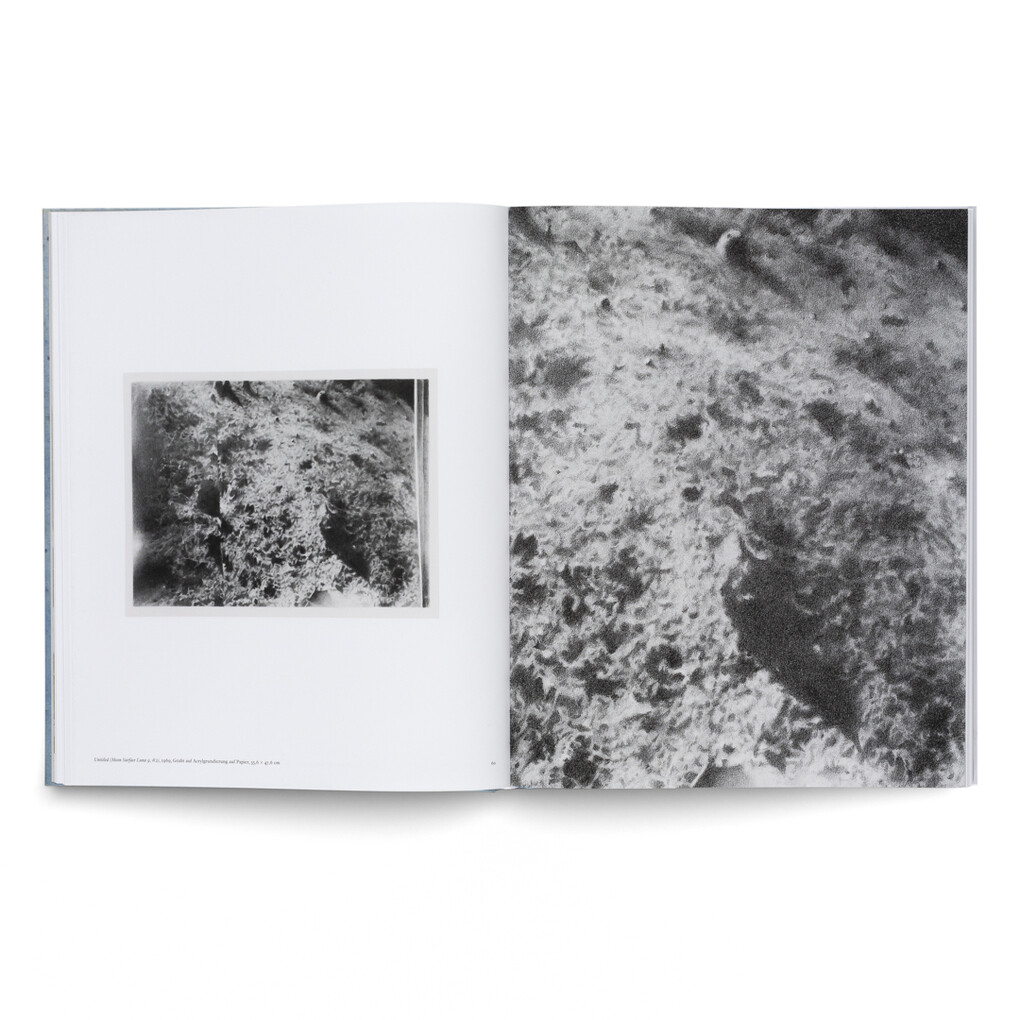Weitere Ansicht: Vija Celmins | Teo Schifferli