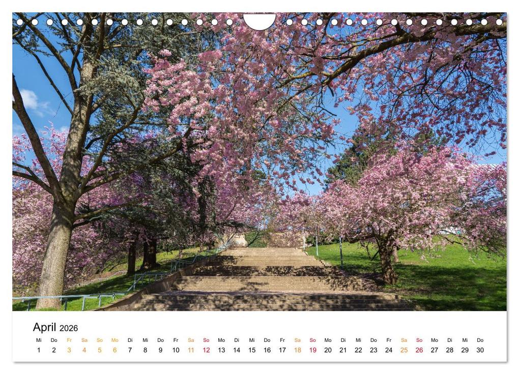 Weitere Ansicht: Kassel - wunderschöne Stadt in Nordhessen (Wandkalender 2026 DIN A4 quer), CALVENDO Monatskalender | Calvendo, Angela Rohde