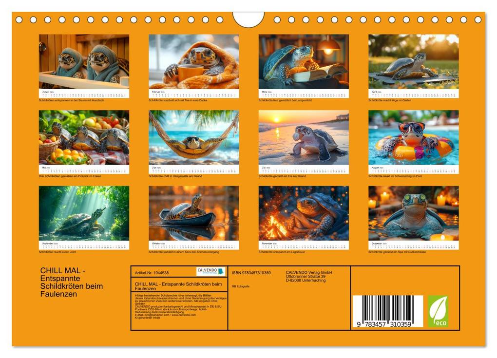 Weitere Ansicht: CHILL MAL - Entspannte Schildkröten beim Faulenzen (Wandkalender 2026 DIN A4 quer), CALVENDO Monatskalender | Calvendo, MB Fotografie