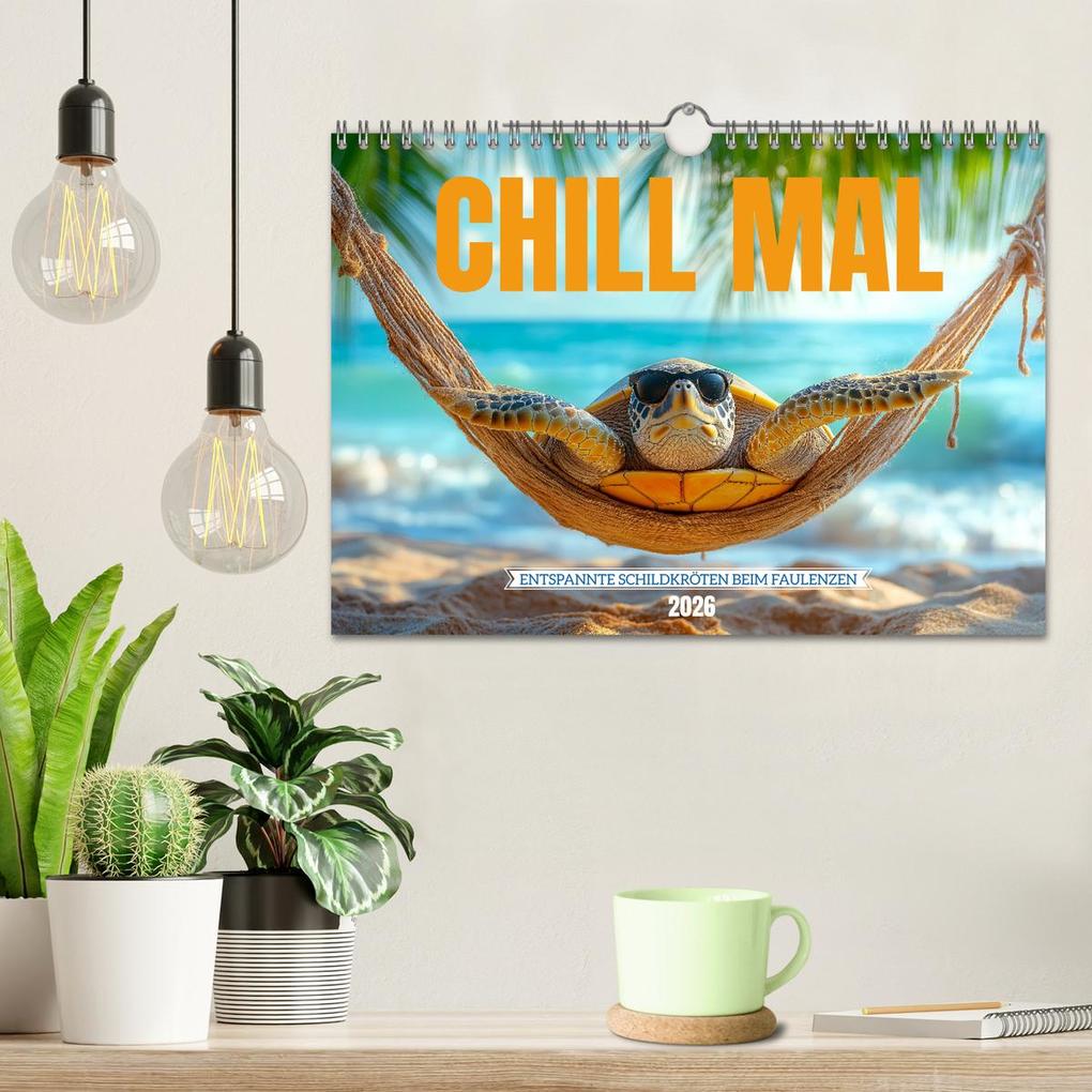Weitere Ansicht: CHILL MAL - Entspannte Schildkröten beim Faulenzen (Wandkalender 2026 DIN A4 quer), CALVENDO Monatskalender | Calvendo, MB Fotografie
