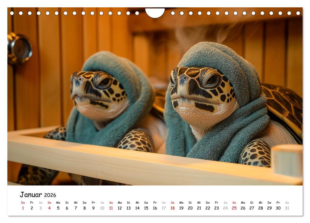 Weitere Ansicht: CHILL MAL - Entspannte Schildkröten beim Faulenzen (Wandkalender 2026 DIN A4 quer), CALVENDO Monatskalender | Calvendo, MB Fotografie